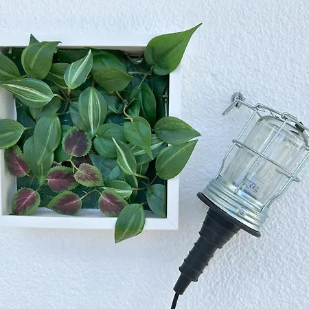 Nandi-holidaysport&relax-apt 公寓 塔尔维西奥