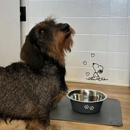 公寓 Nandi-holidaysport&relax-apt