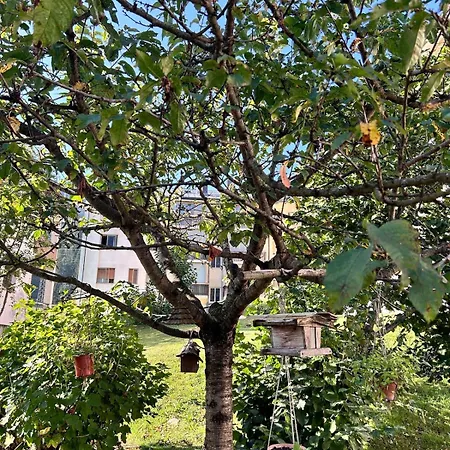 Nandi-holidaysport&relax-apt * 塔尔维西奥